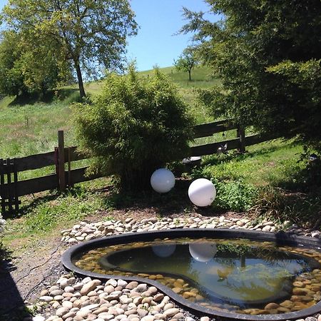 Reichelsheim Ferienwohnung Casa Natura מראה חיצוני תמונה